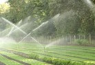 Parkes NSWlandscaping-water-management-and-drainage-17.jpg; ?>